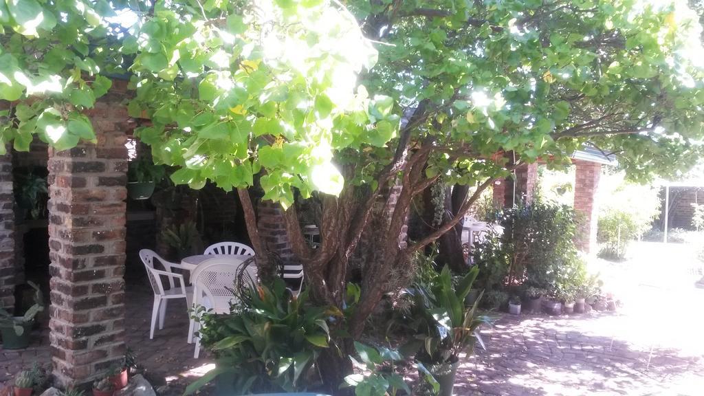 Onze Rust Guest House And Caravanpark Colesberg Bagian luar foto